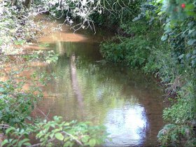 The river Leadon